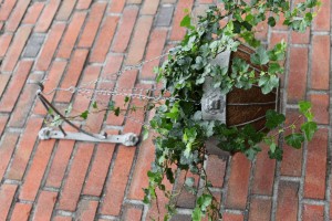 AM111 aged metal wandhaak leeuw voor hanging basket