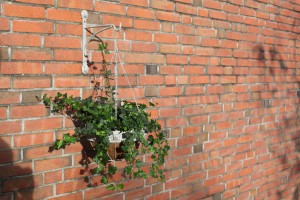 AM111 aged metal wandhaak leeuw voor hanging basket