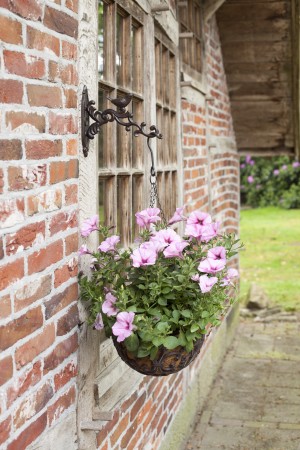 BR21 gietijzeren hanging basket haak met vogeltje donkerbruin